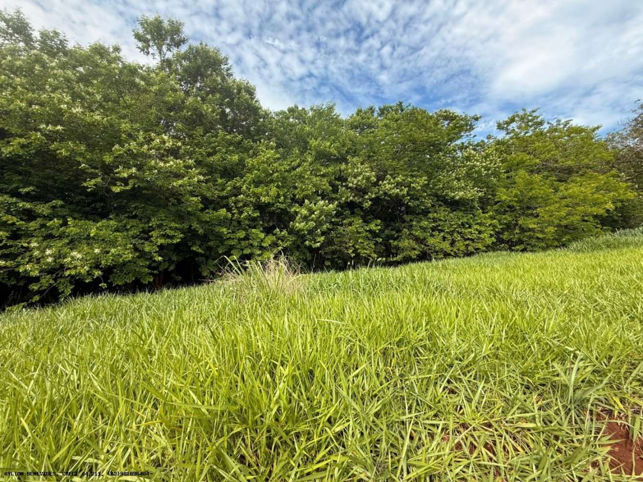 Terreno, 7 hectares - Foto 6