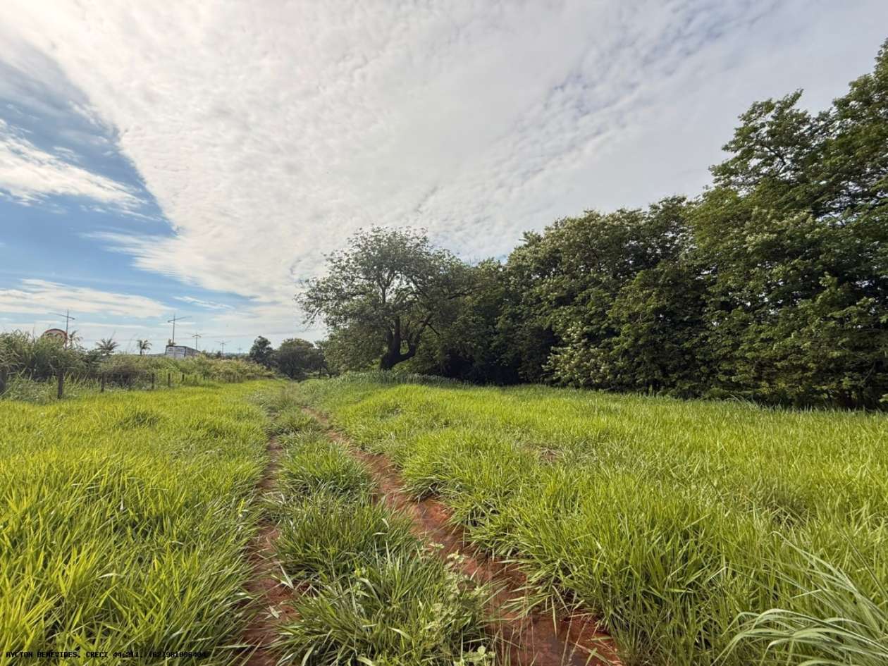 Terreno, 7 hectares - Foto 7