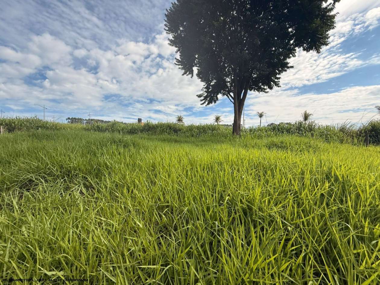 Terreno, 7 hectares - Foto 9