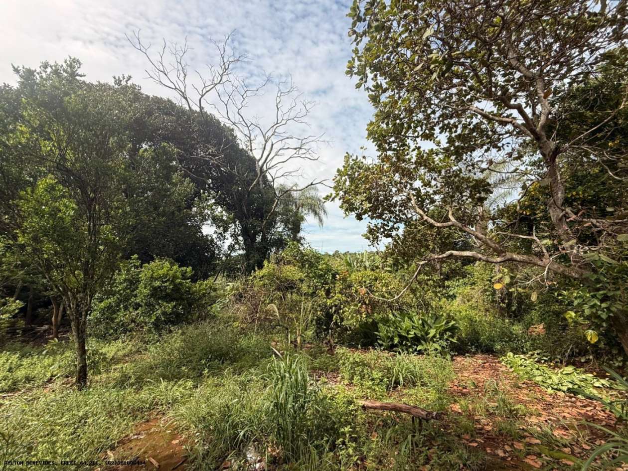 Terreno, 7 hectares - Foto 12