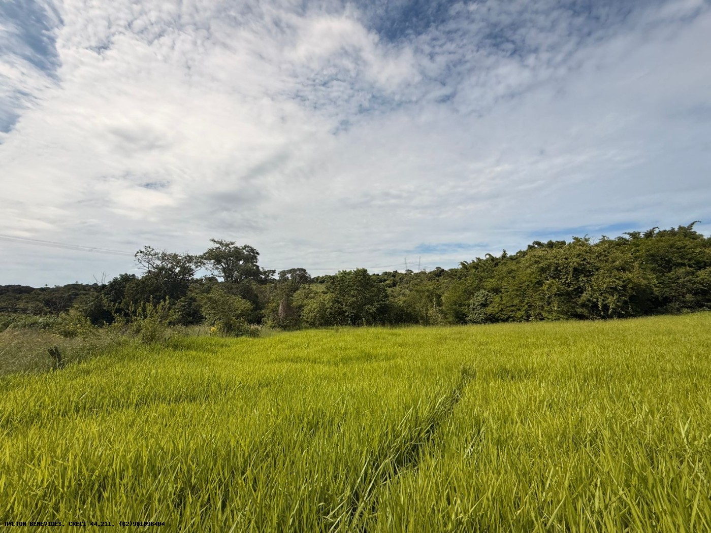 Terreno, 7 hectares - Foto 11