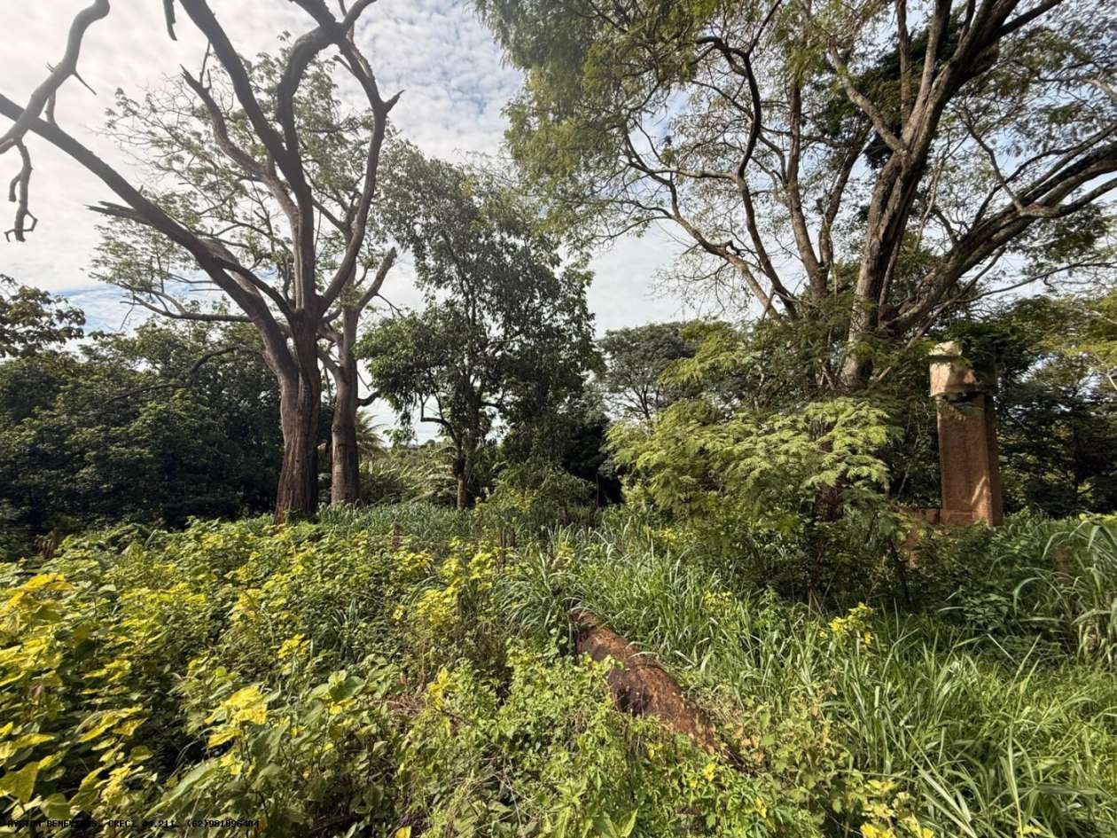 Terreno, 7 hectares - Foto 14