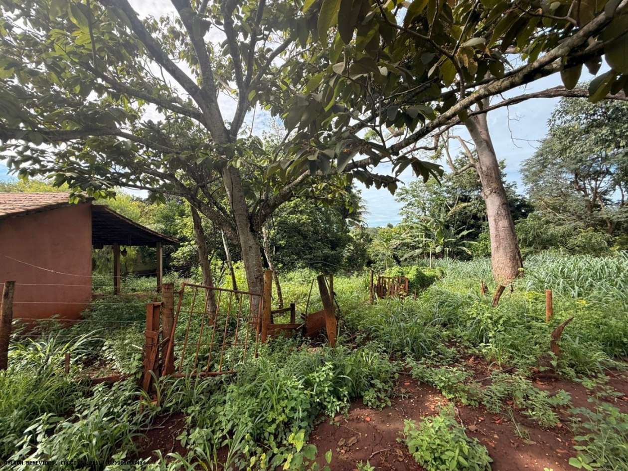 Terreno, 7 hectares - Foto 16