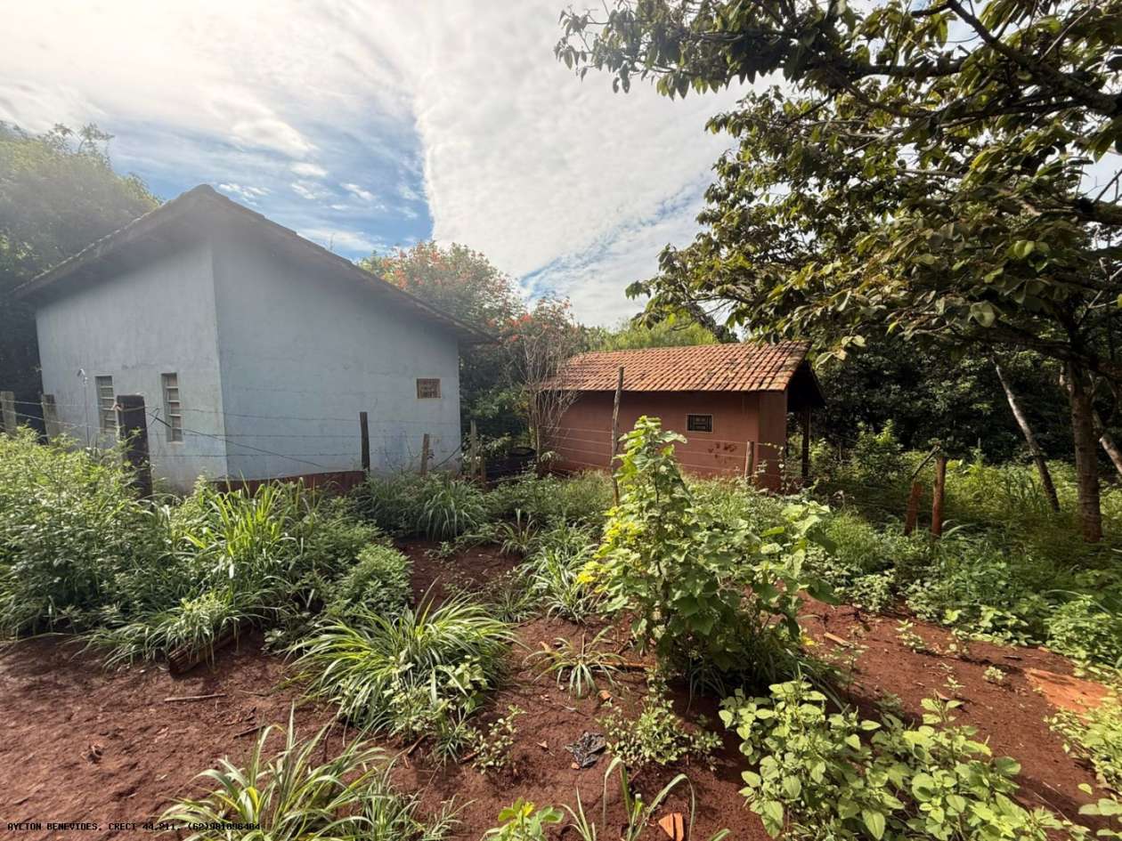 Terreno, 7 hectares - Foto 17