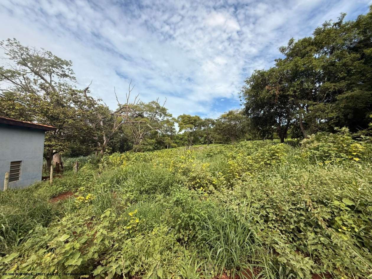 Terreno, 7 hectares - Foto 19