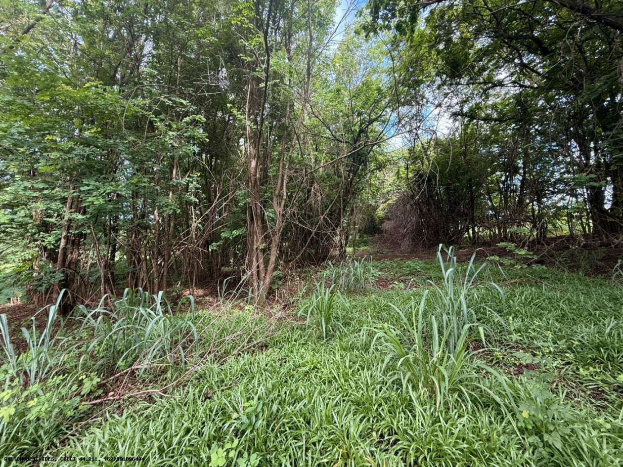 Terreno, 7 hectares - Foto 21