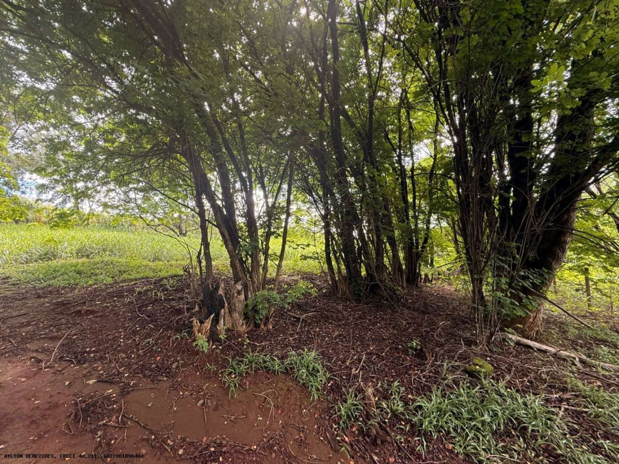 Terreno, 7 hectares - Foto 22