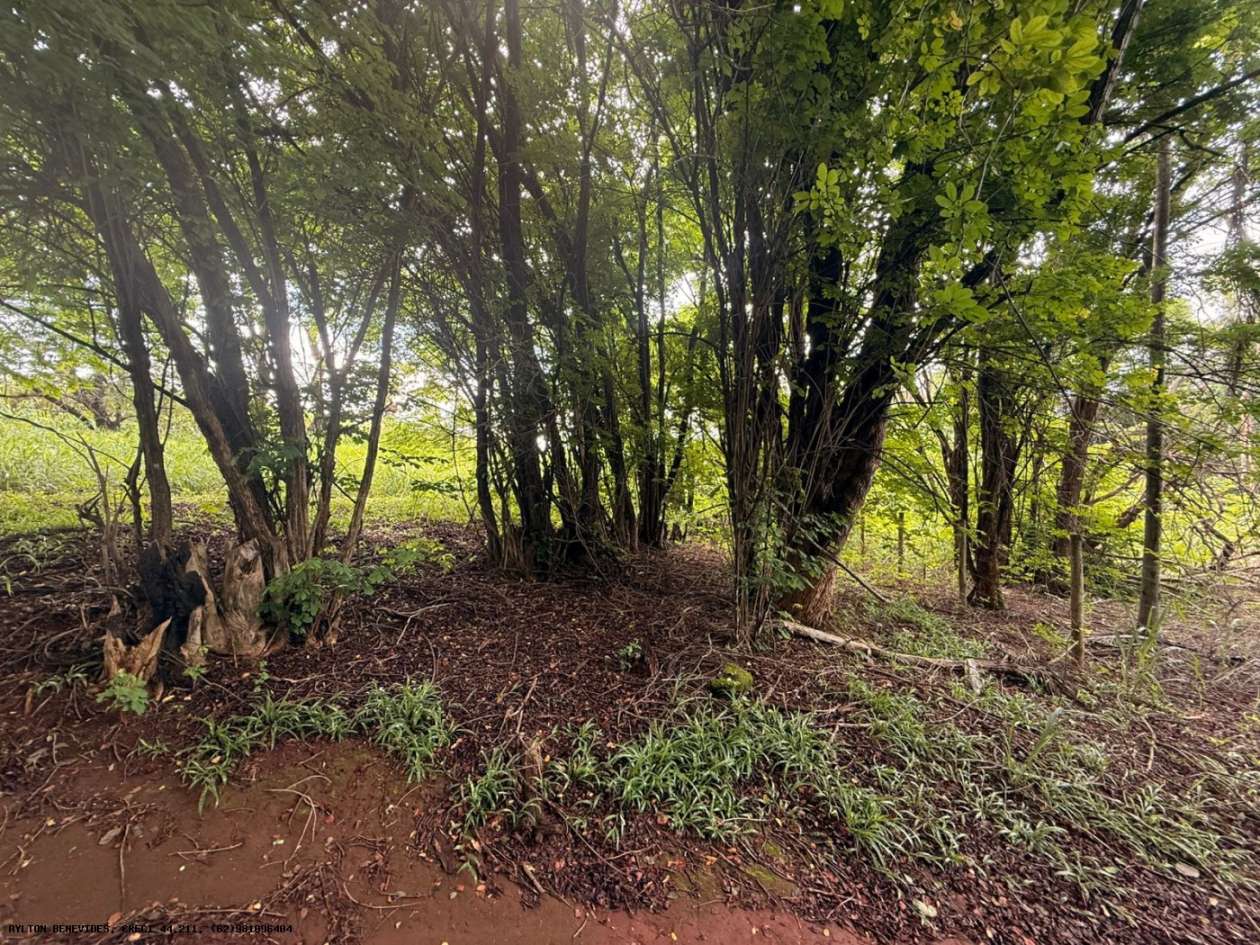 Terreno, 7 hectares - Foto 23