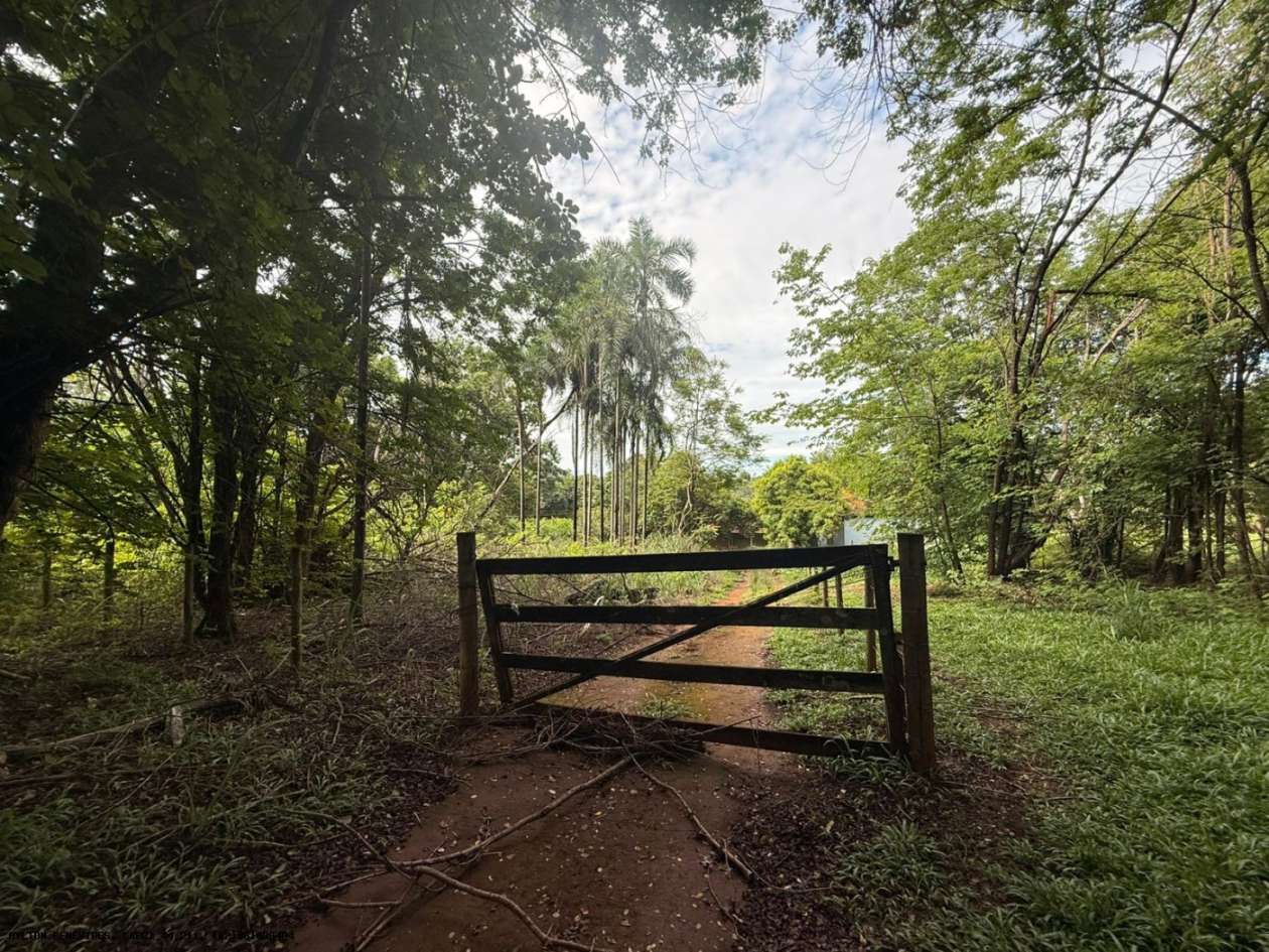 Terreno, 7 hectares - Foto 24