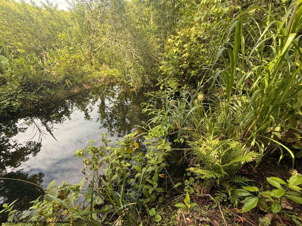 Terreno, 7 hectares - Foto 26