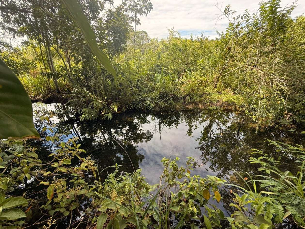 Terreno, 7 hectares - Foto 25