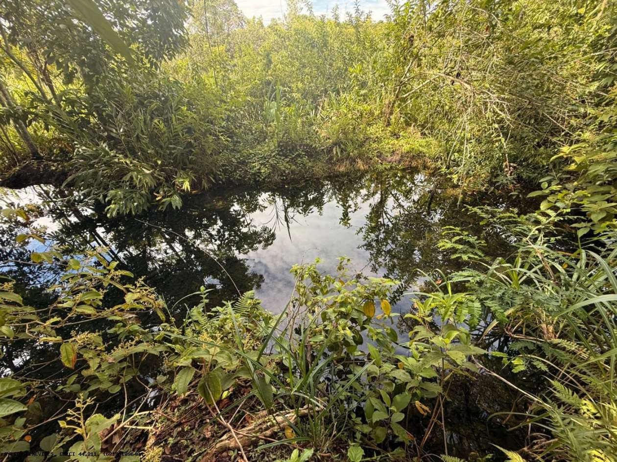 Terreno, 7 hectares - Foto 28