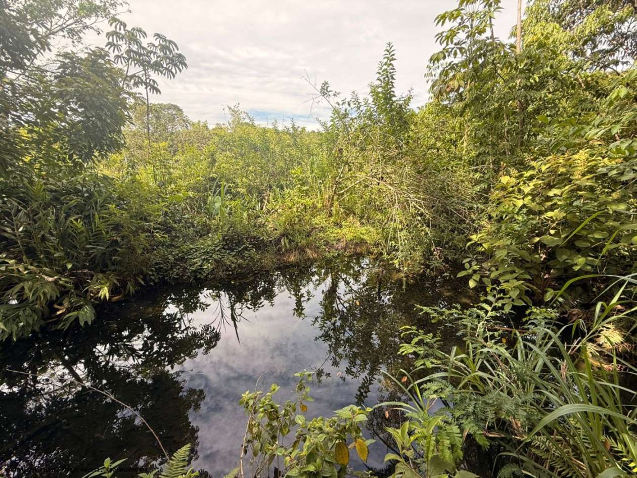 Terreno, 7 hectares - Foto 27