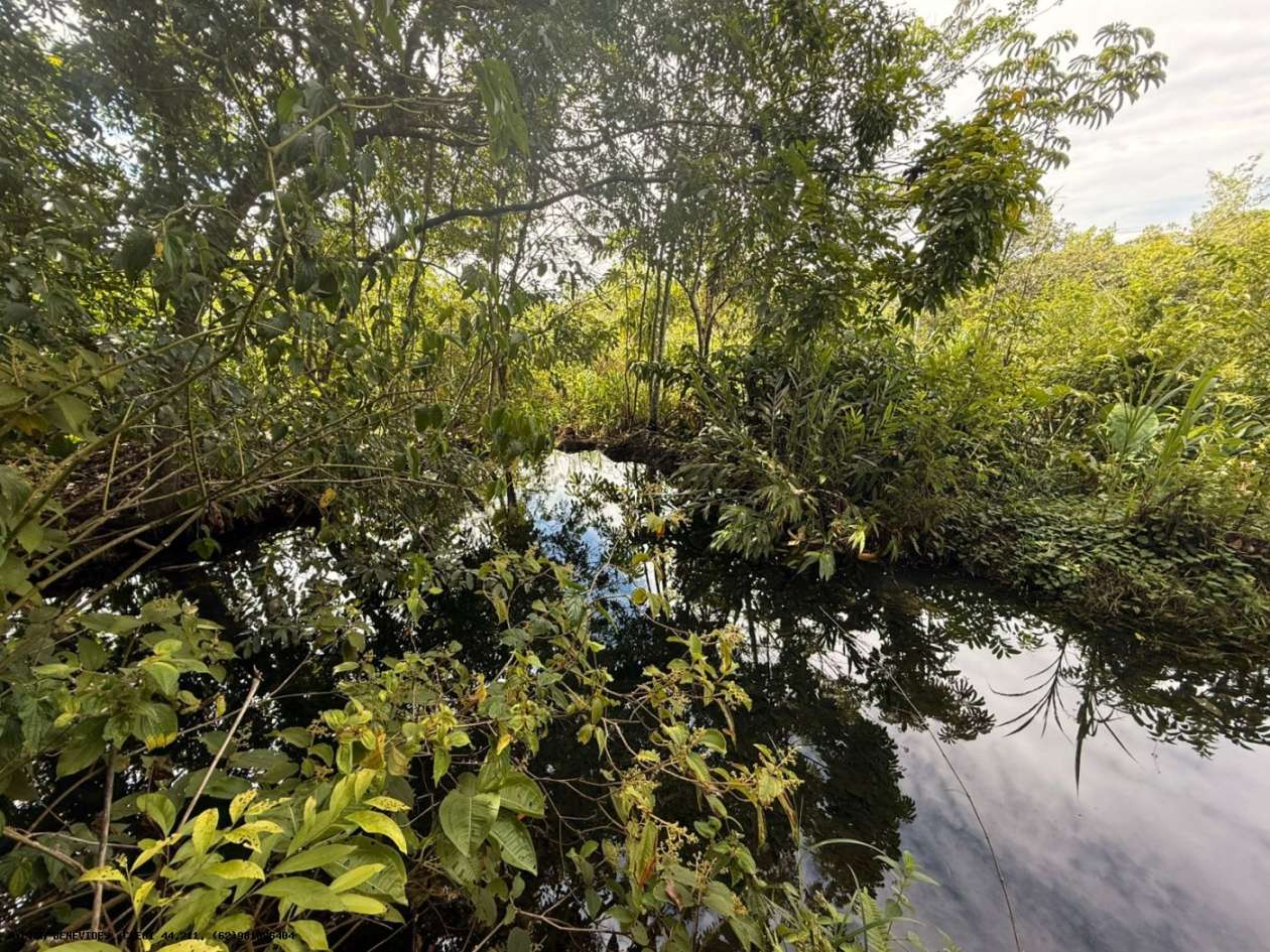 Terreno, 7 hectares - Foto 29