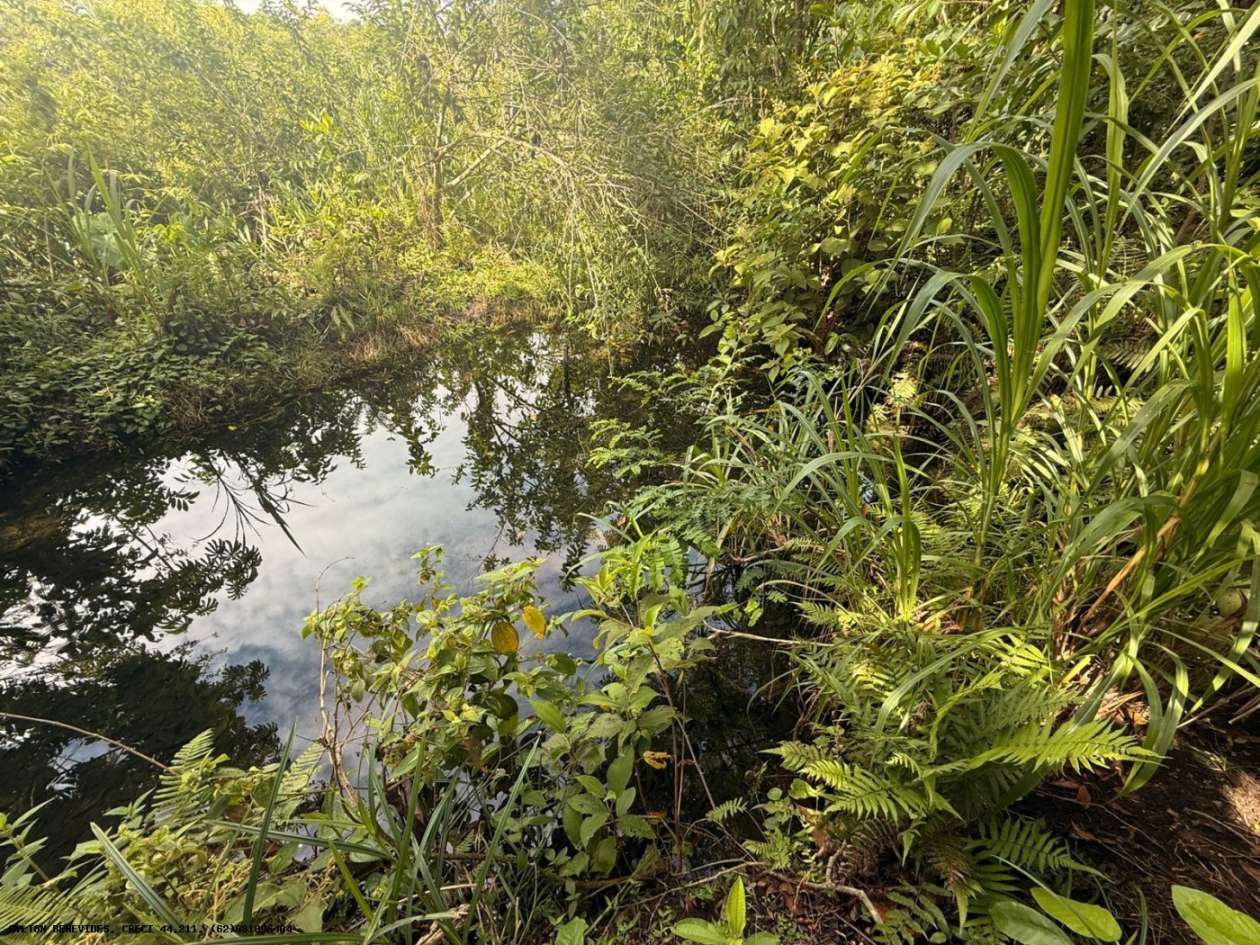 Terreno, 7 hectares - Foto 30