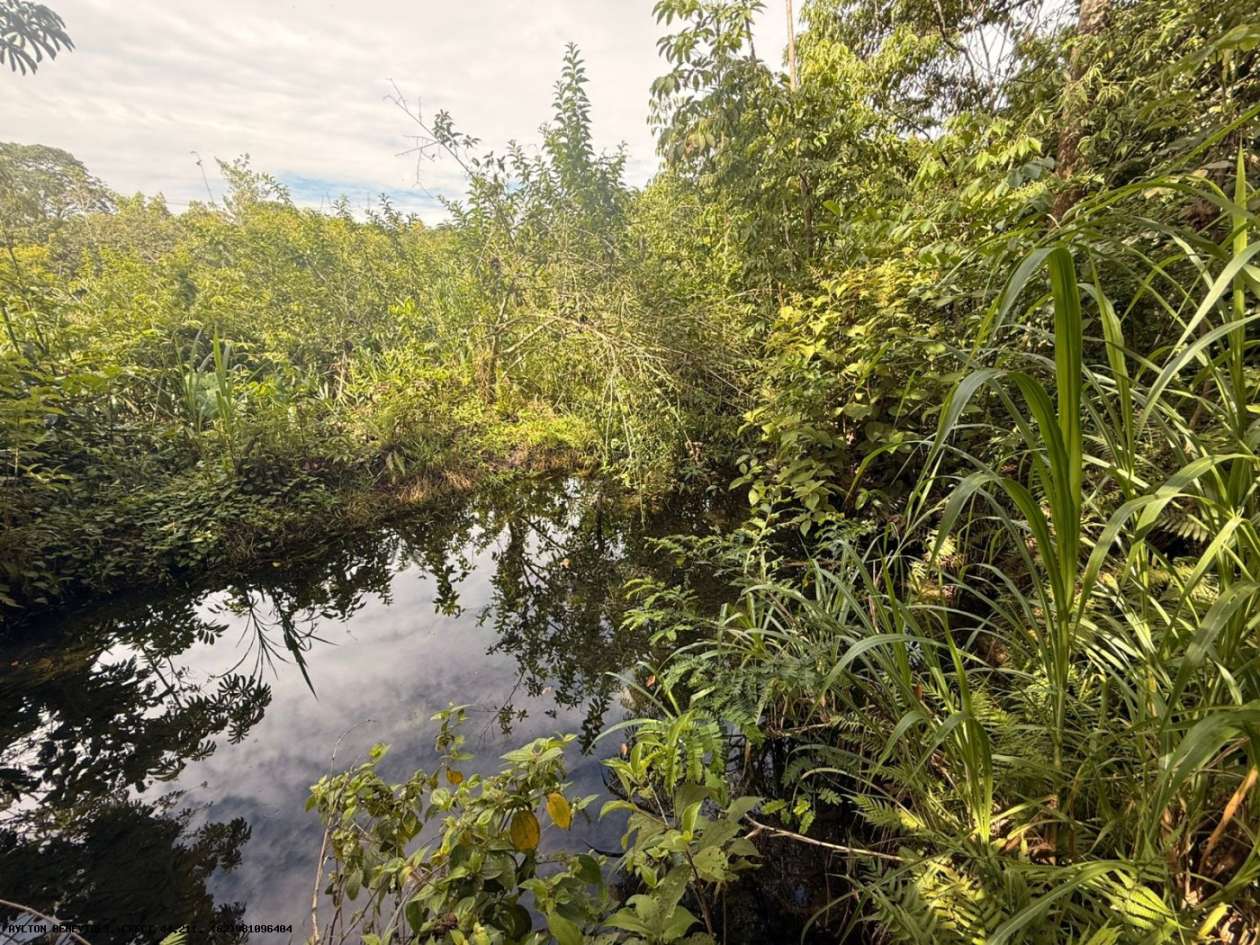 Terreno, 7 hectares - Foto 31