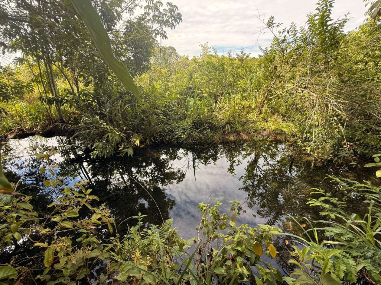 Terreno, 7 hectares - Foto 32