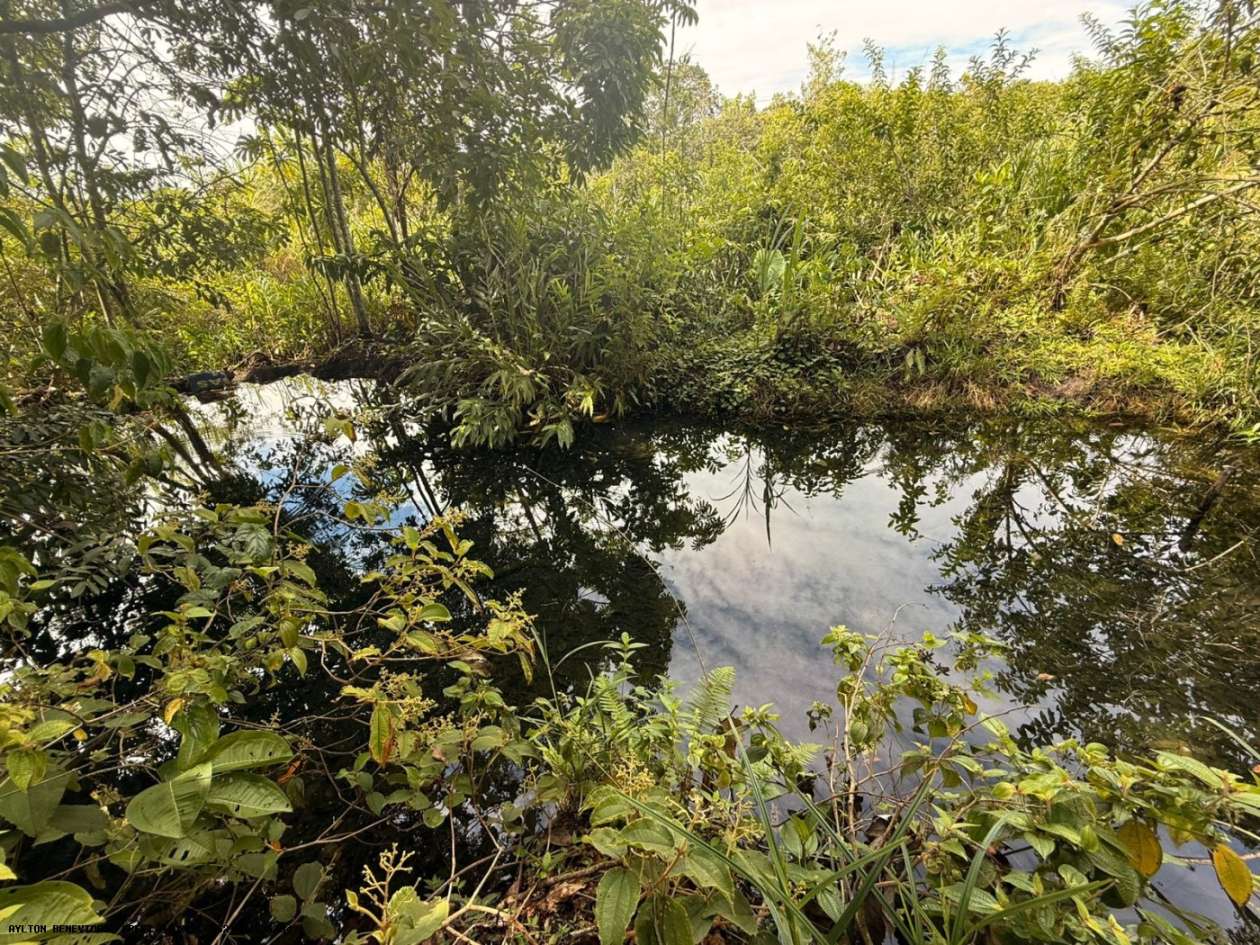 Terreno, 7 hectares - Foto 34