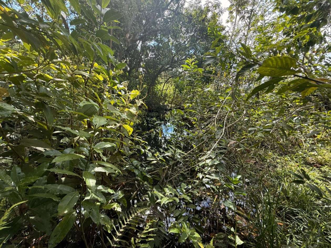 Terreno, 7 hectares - Foto 36