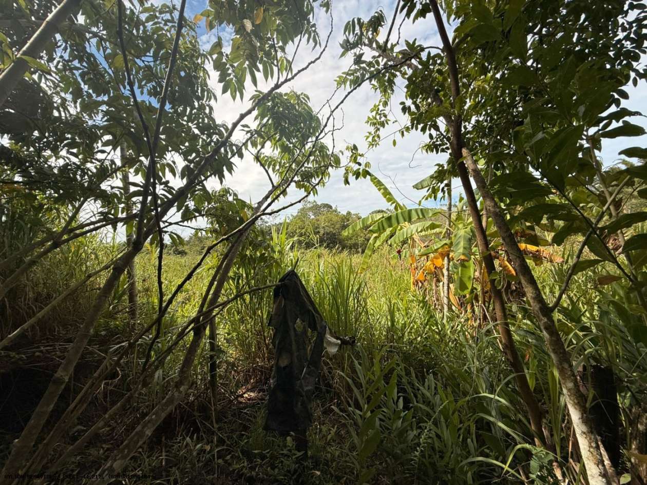 Terreno, 7 hectares - Foto 37