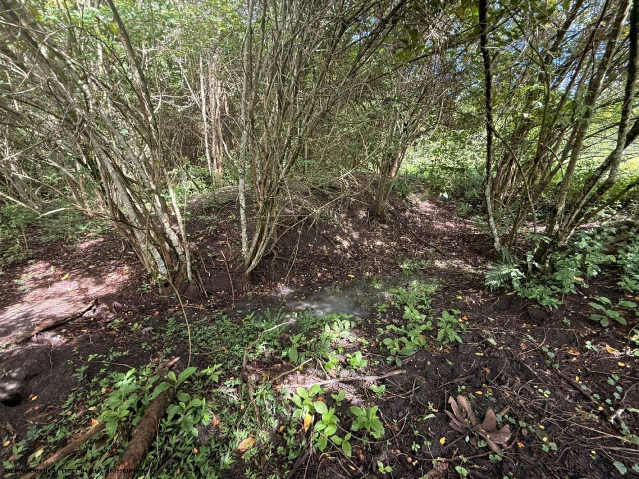 Terreno, 7 hectares - Foto 40