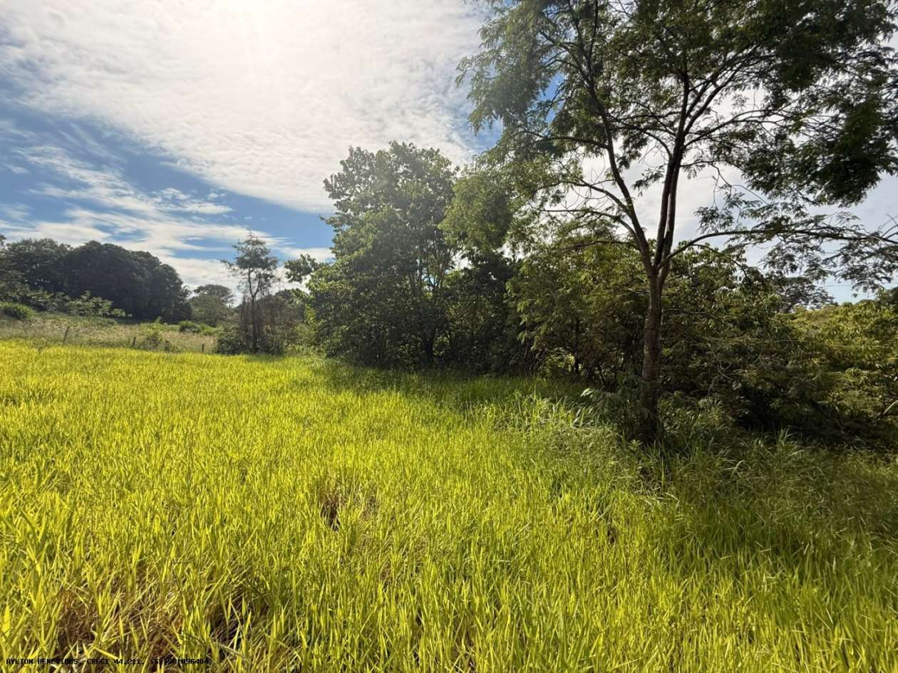 Terreno, 7 hectares - Foto 41