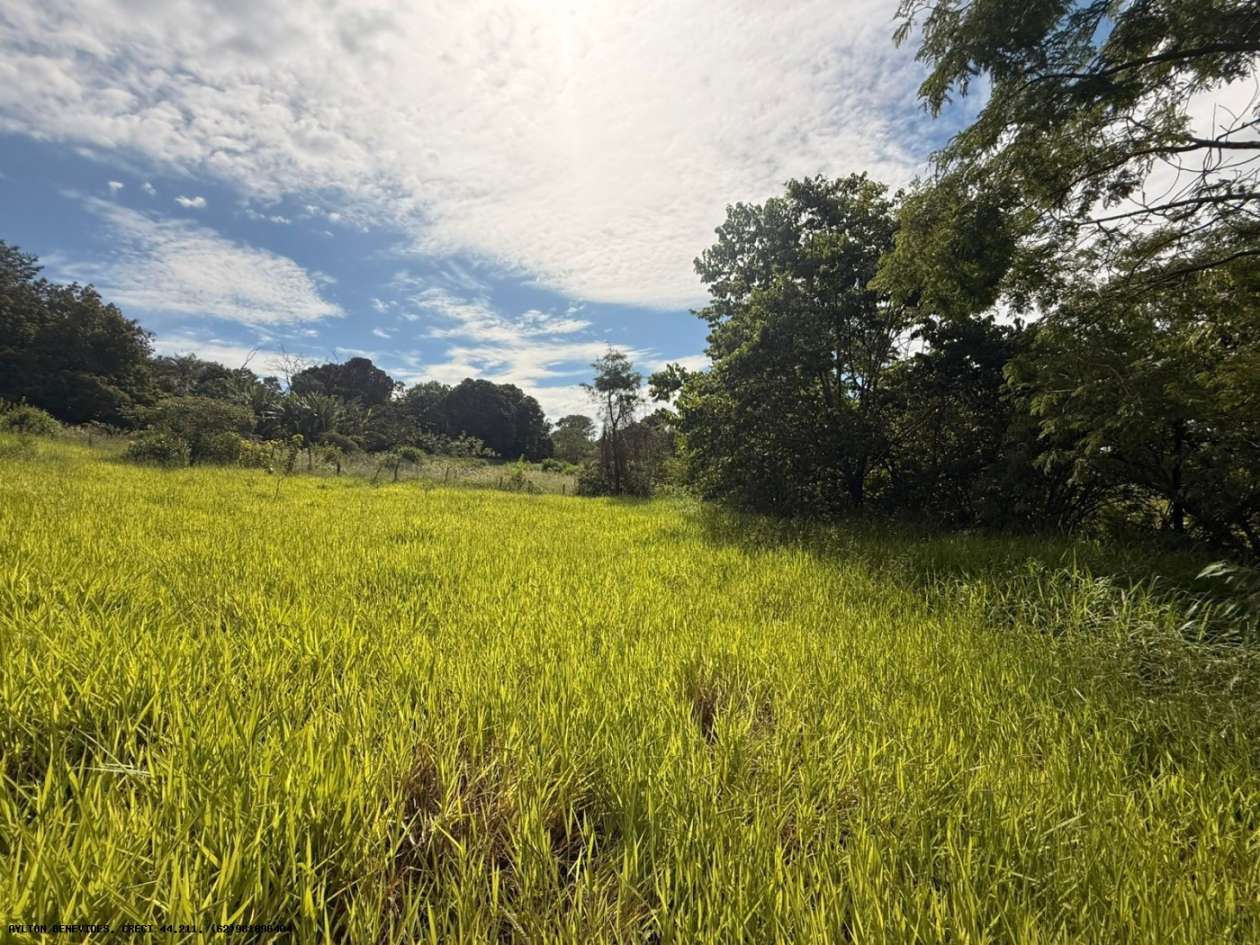 Terreno, 7 hectares - Foto 42