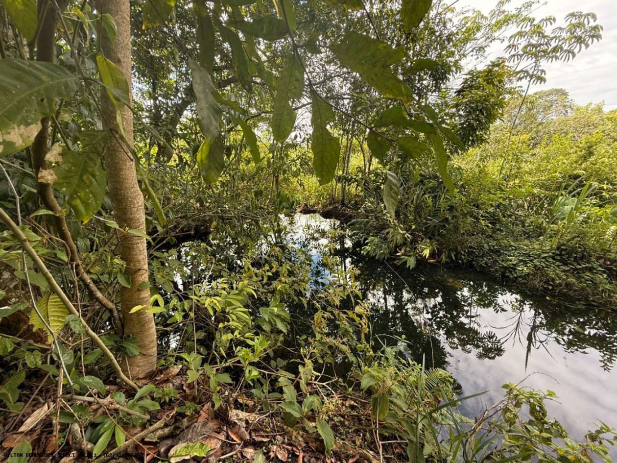 Terreno, 7 hectares - Foto 43