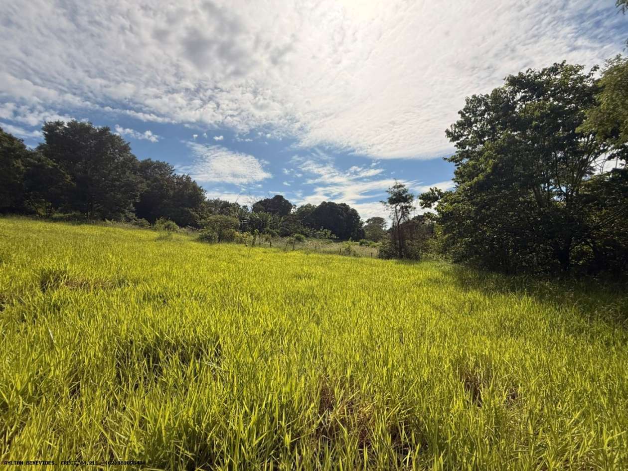 Terreno, 7 hectares - Foto 44