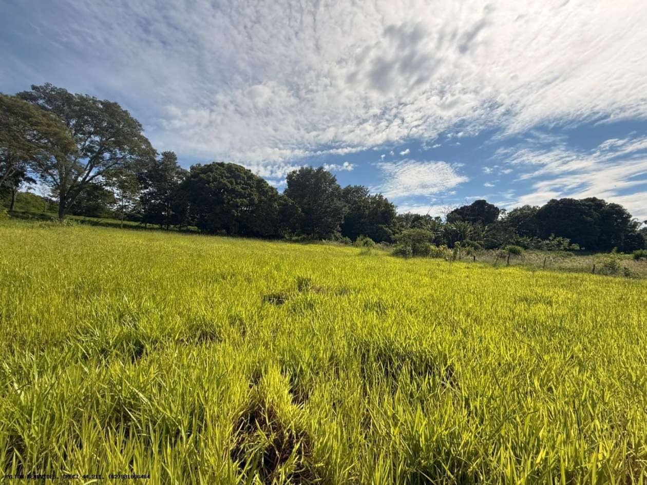 Terreno, 7 hectares - Foto 46