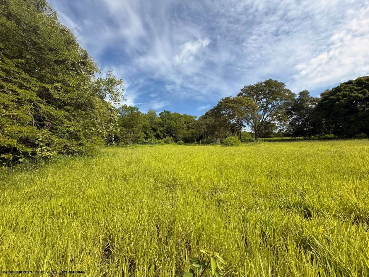 Terreno, 7 hectares - Foto 47