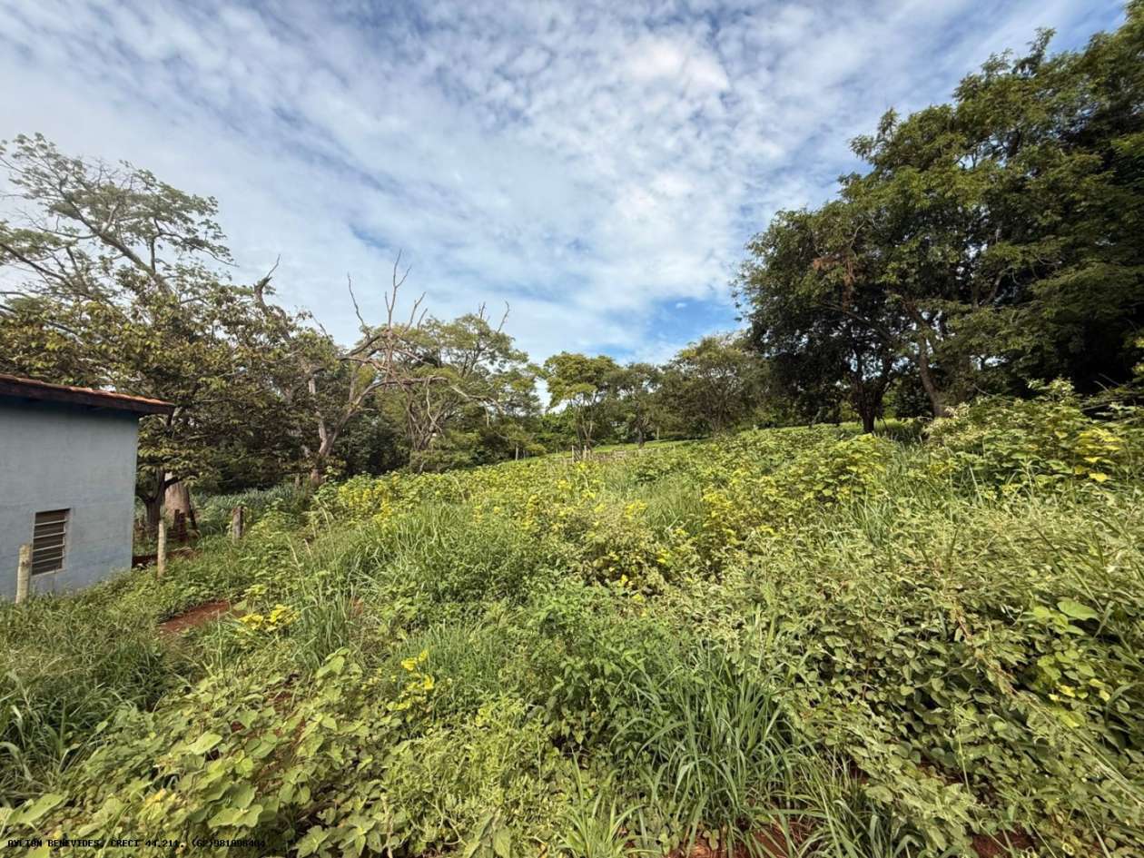 Terreno, 7 hectares - Foto 50