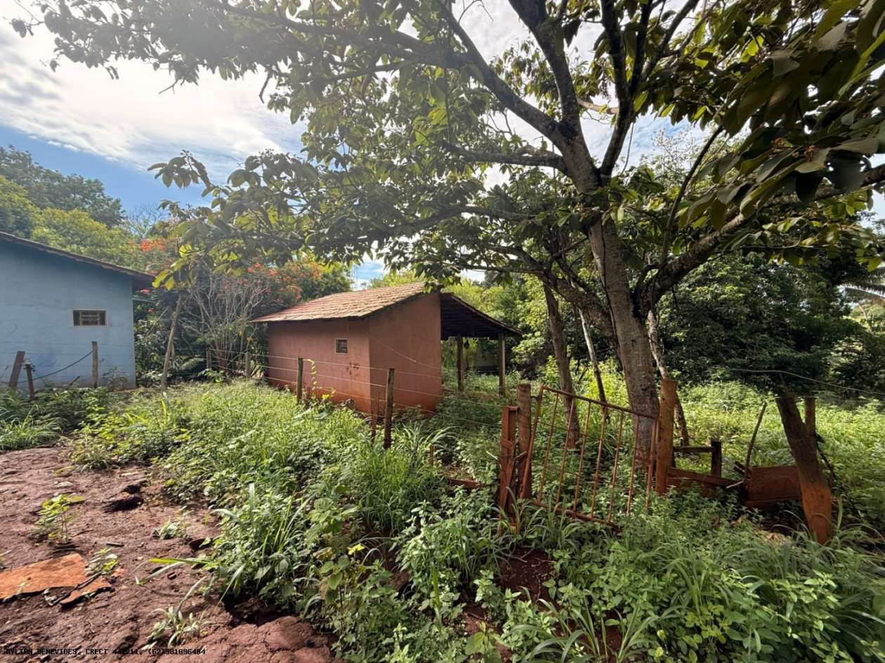 Terreno, 7 hectares - Foto 53