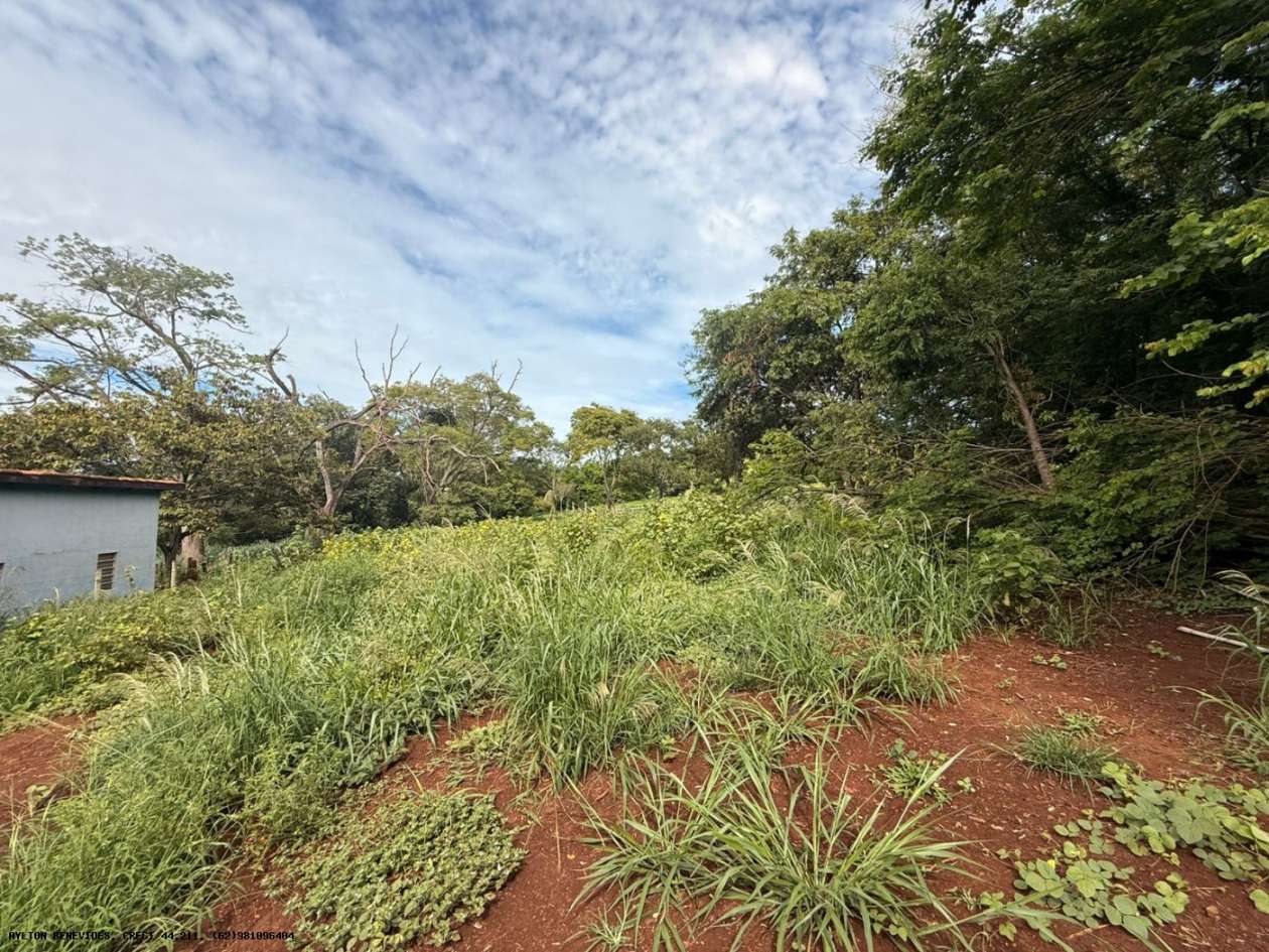 Terreno, 7 hectares - Foto 58