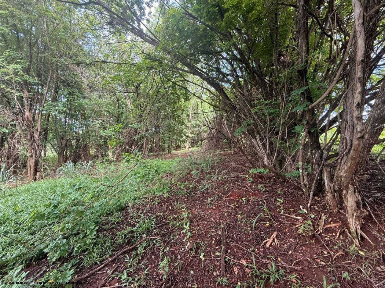 Terreno, 7 hectares - Foto 60