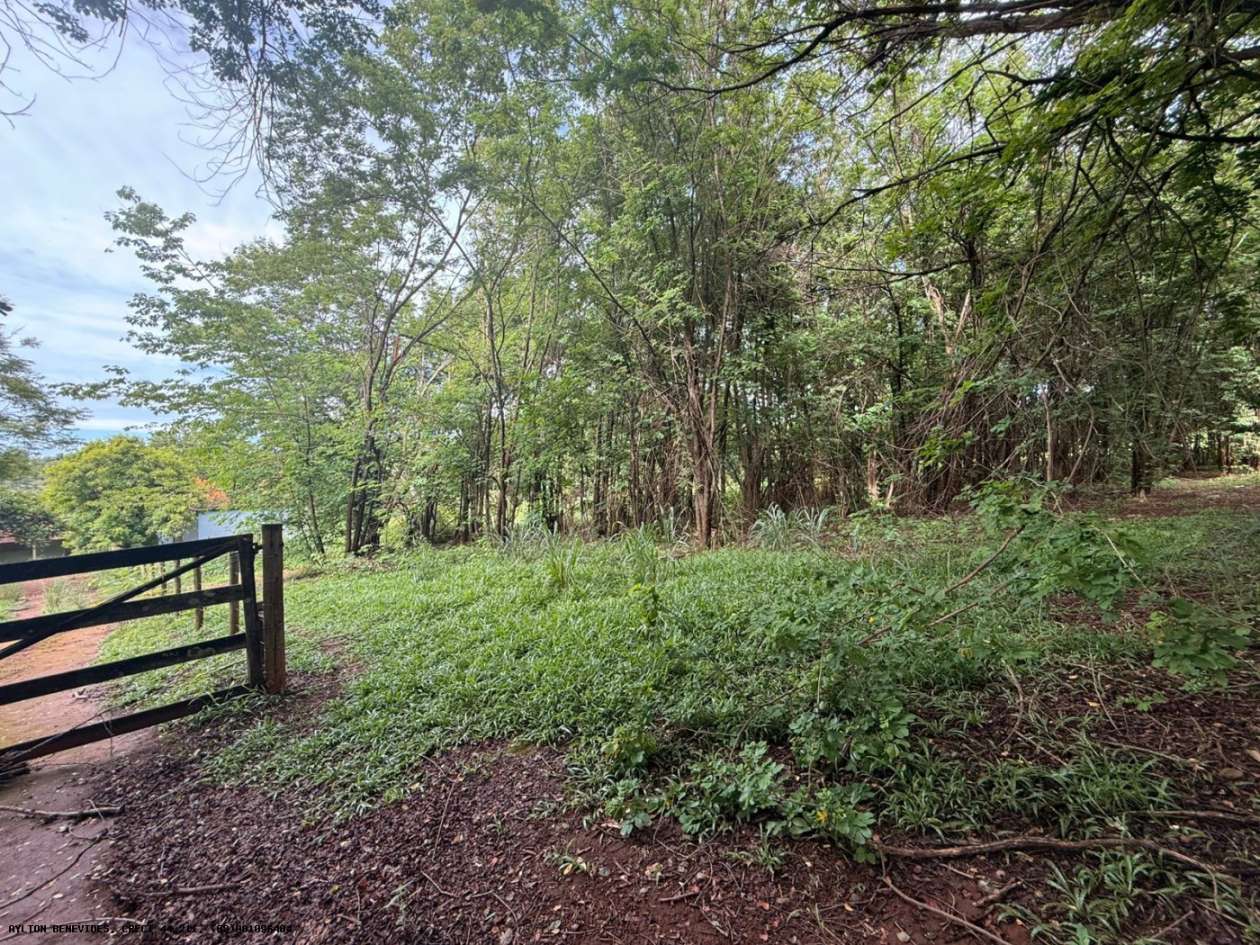 Terreno, 7 hectares - Foto 59