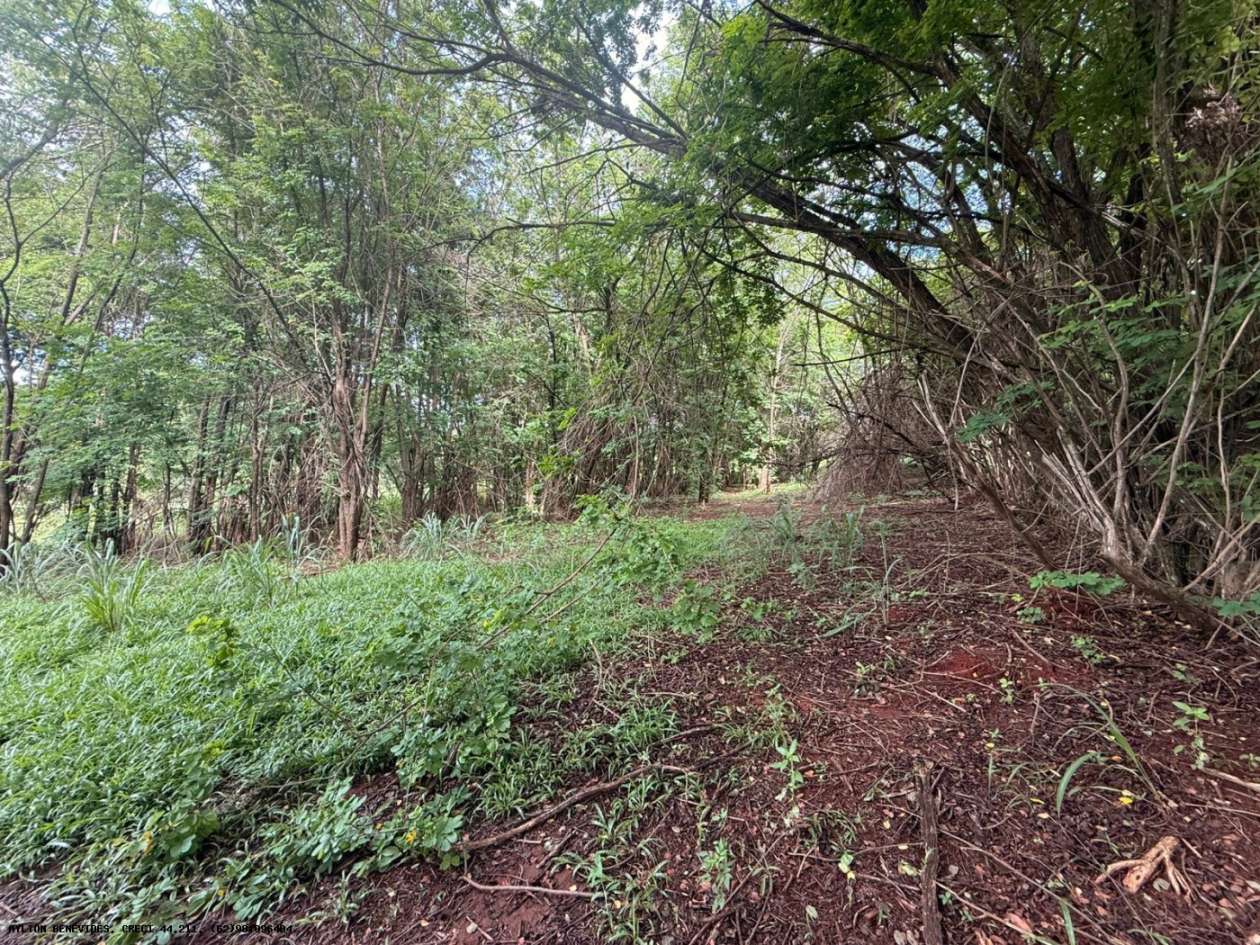 Terreno, 7 hectares - Foto 61