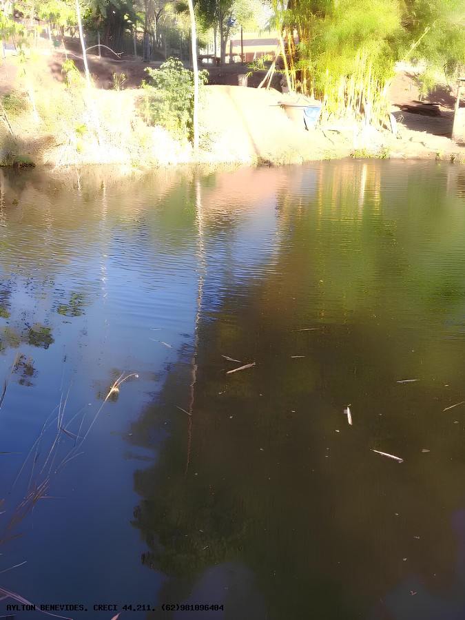 Chácara, 2 hectares - Foto 4