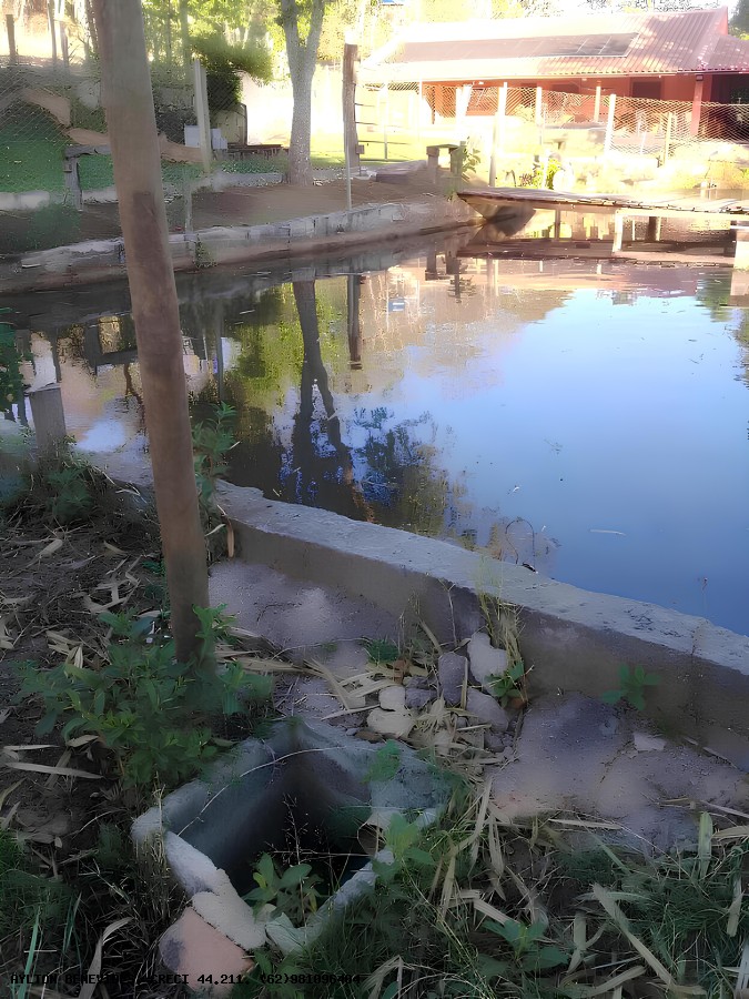 Chácara, 2 hectares - Foto 5