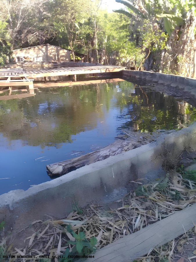 Chácara, 2 hectares - Foto 6