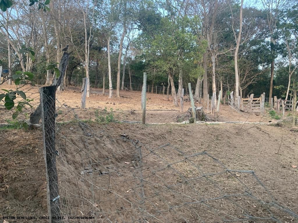 Chácara, 2 hectares - Foto 15