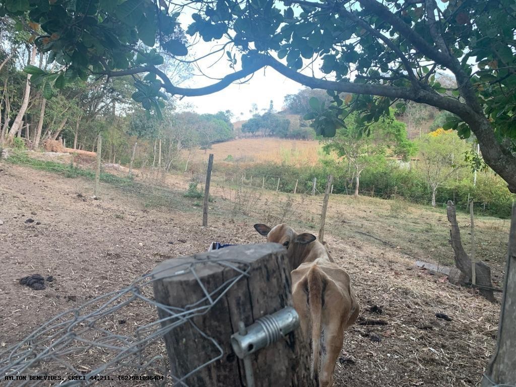 Chácara, 2 hectares - Foto 26