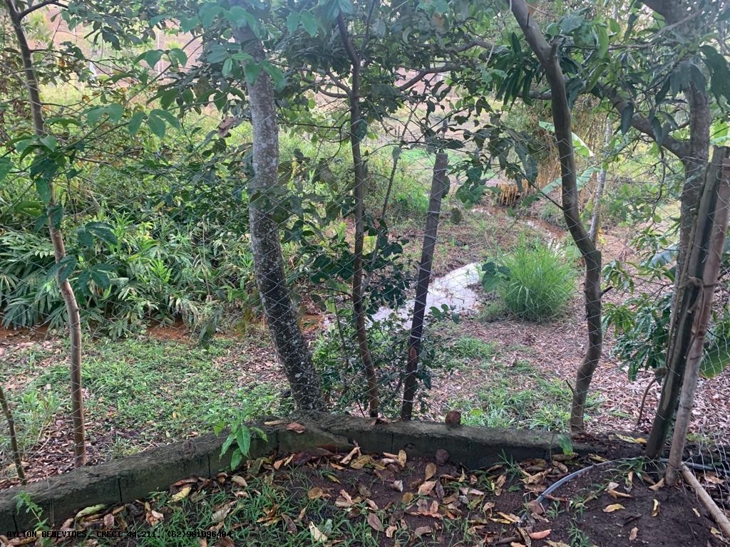 Chácara, 2 hectares - Foto 29