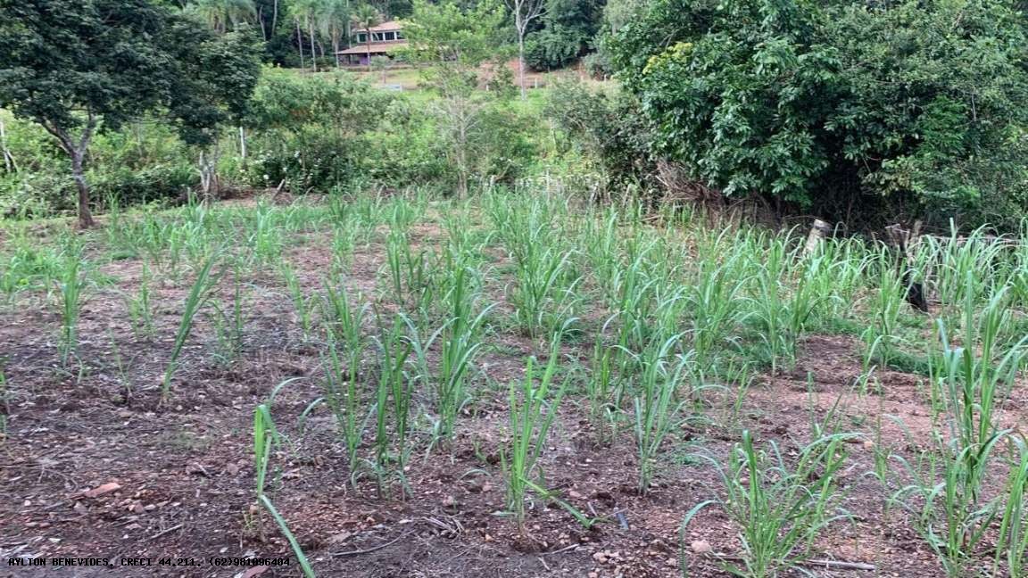 Chácara, 2 hectares - Foto 32