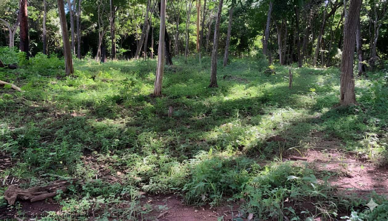 Chácara, 2 hectares - Foto 34