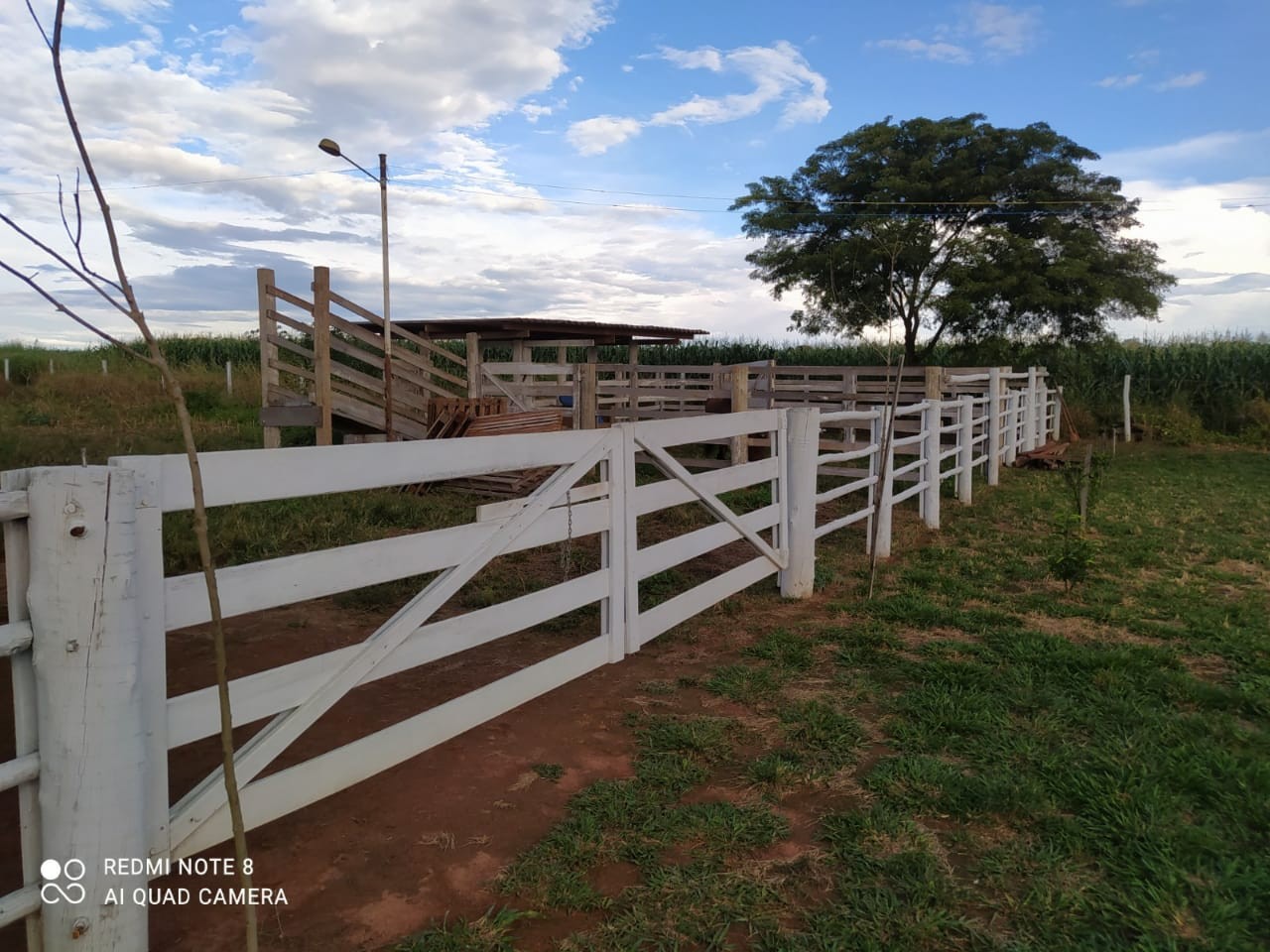 Chácara, 1200 m² - Foto 4