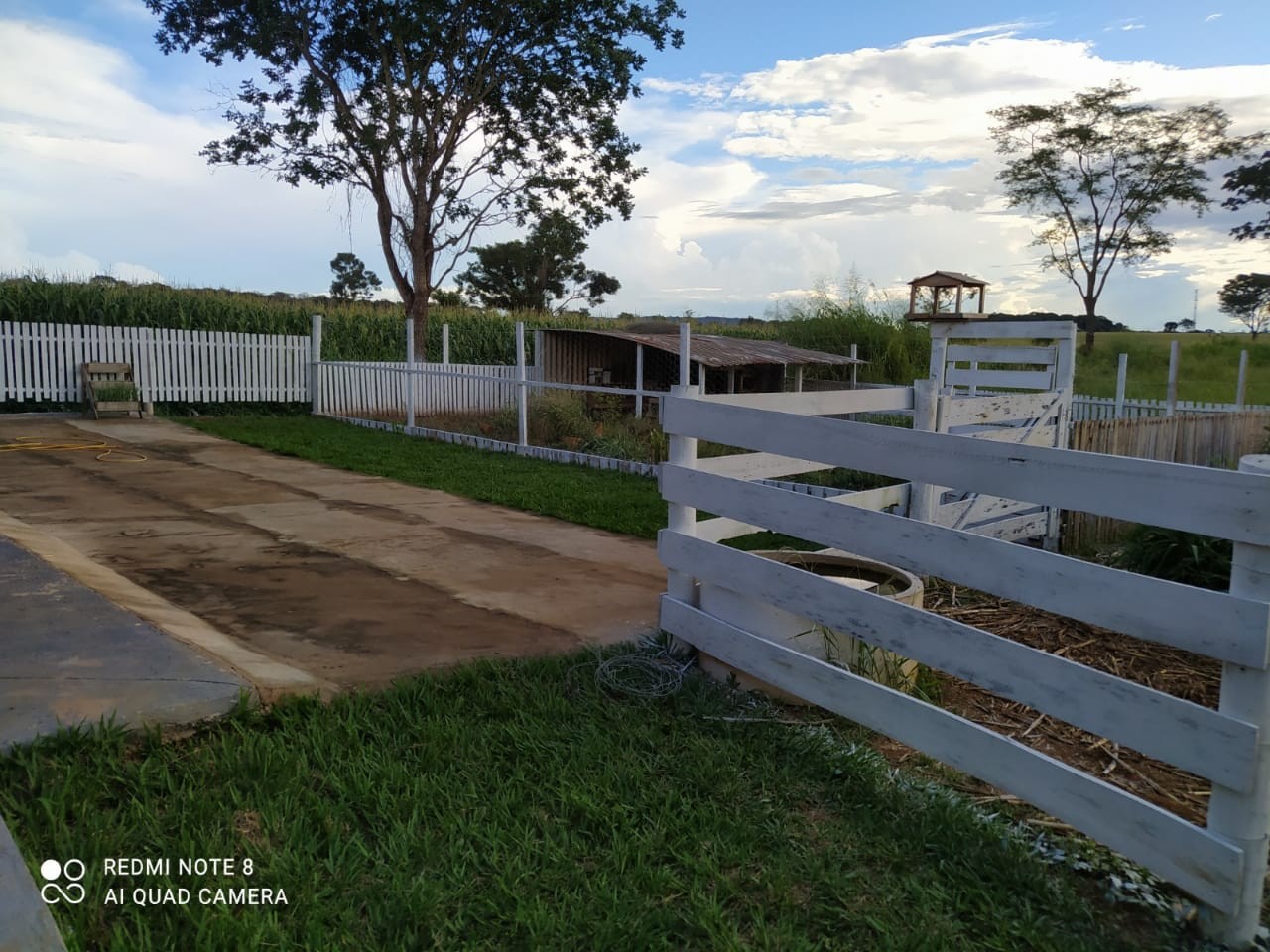 Chácara, 1200 m² - Foto 6