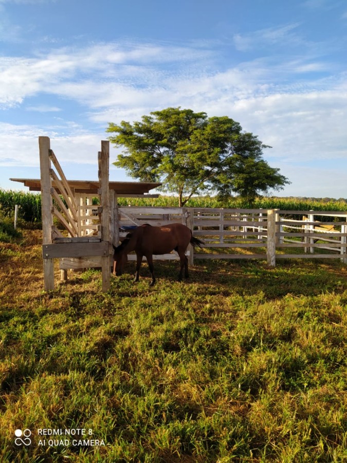 Chácara, 1200 m² - Foto 21