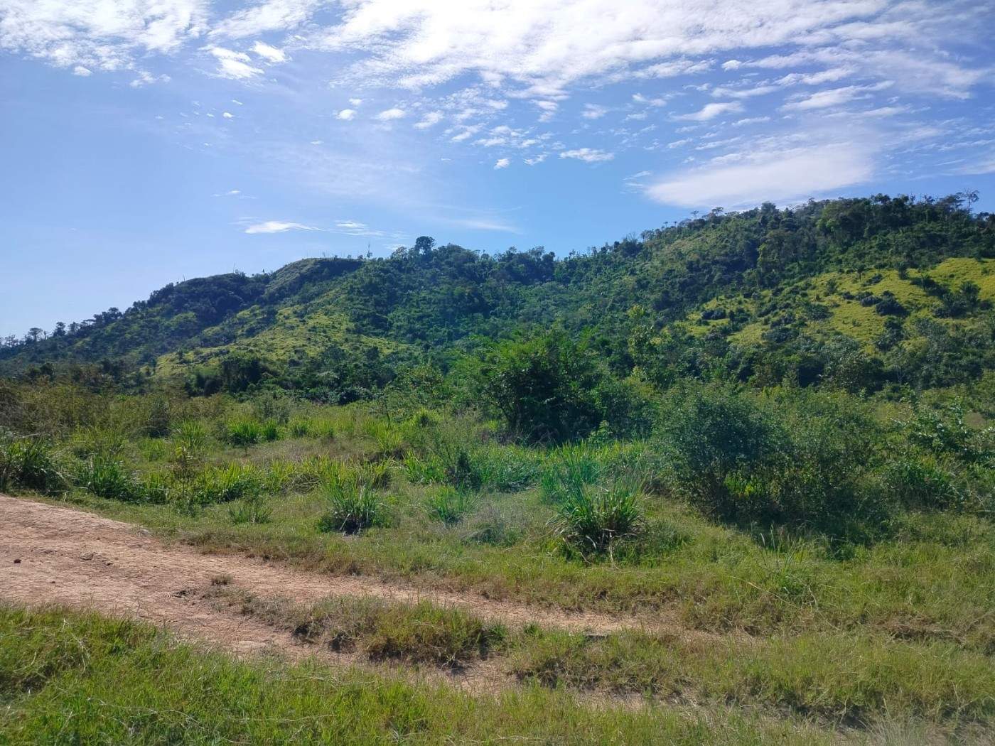 Fazenda, 45 m² - Foto 6