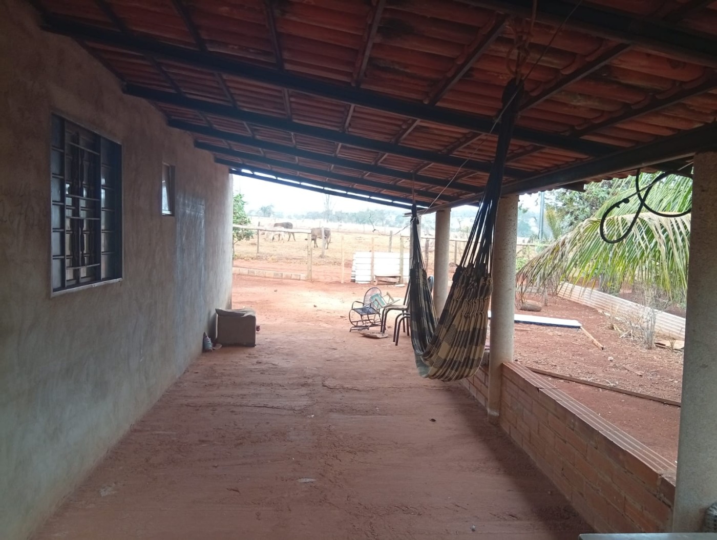 Chácara, 5000 m² - Foto 7